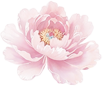 K8·凯发(中国)天生赢家·一触即发